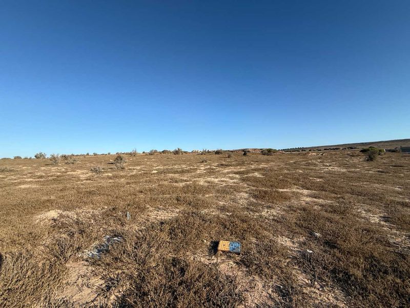 Prime Plot with Views on Clubhouse Side - Photo 3
