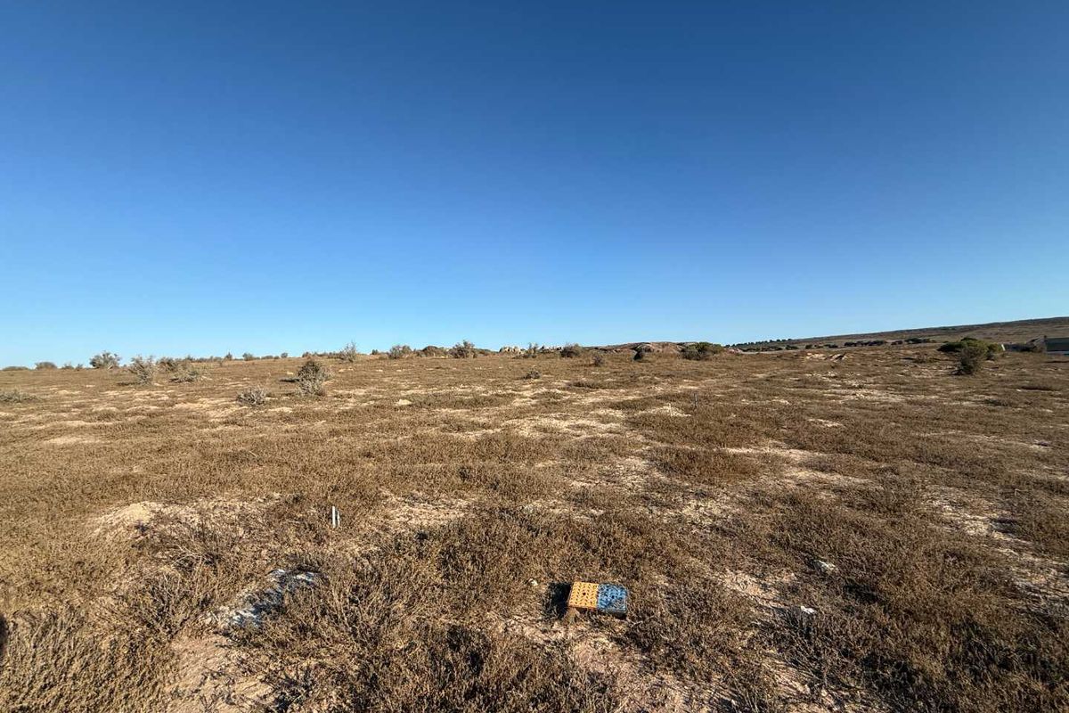 Prime Plot with Views on Clubhouse Side - Photo 3