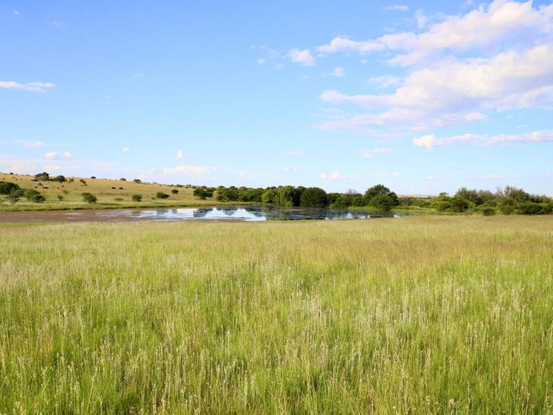 Exceptional Farming Opportunity — 312.0183 ha Grazing Farm with a 4 Bedroom Home, 4 Dams and 8  Boreholes Off the Grid with Solar - Photo 4