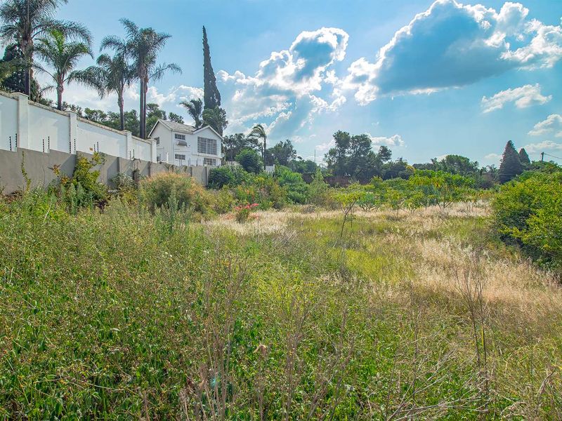 Large stand in Waterkloof Ridge for development - Photo 4