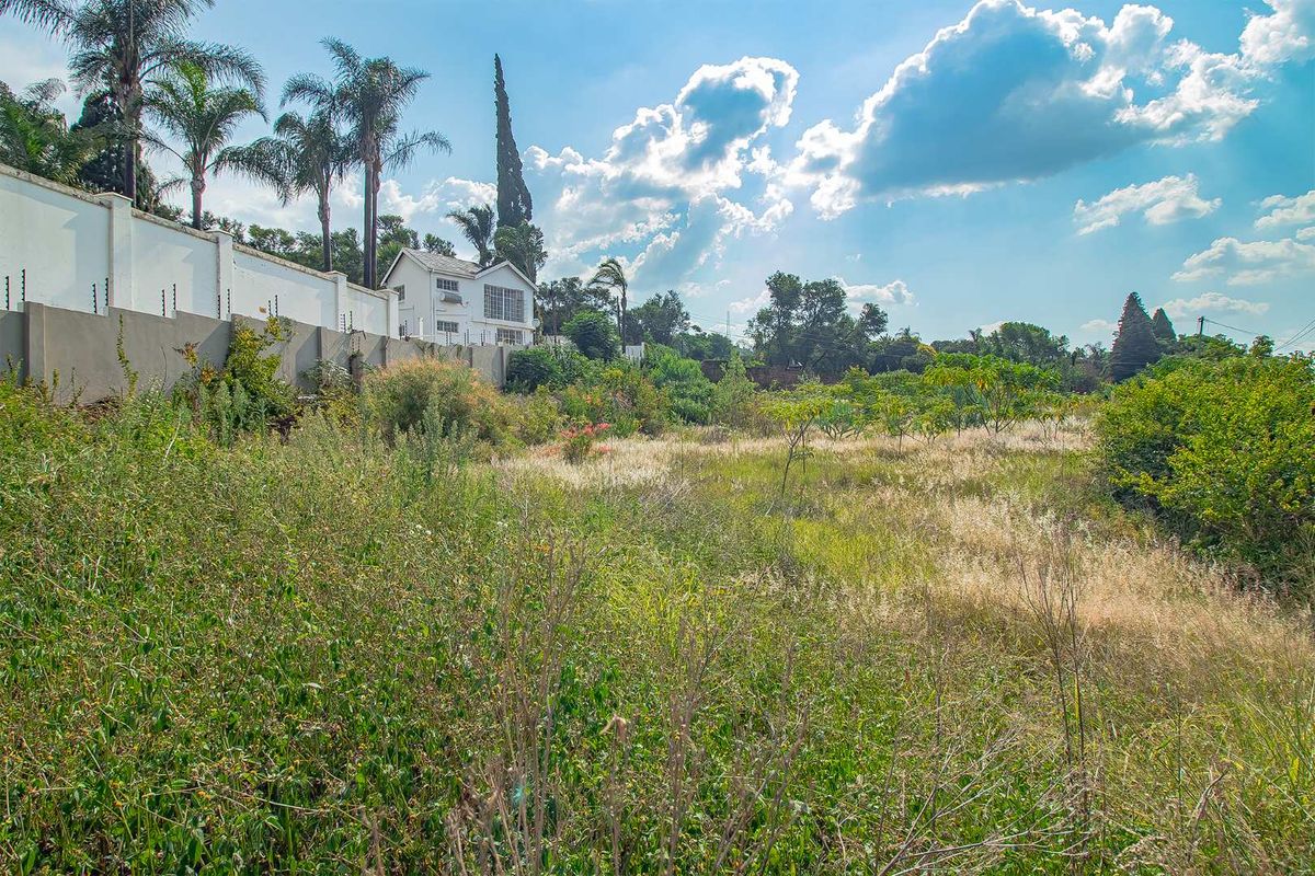 Large stand in Waterkloof Ridge for development - Photo 4