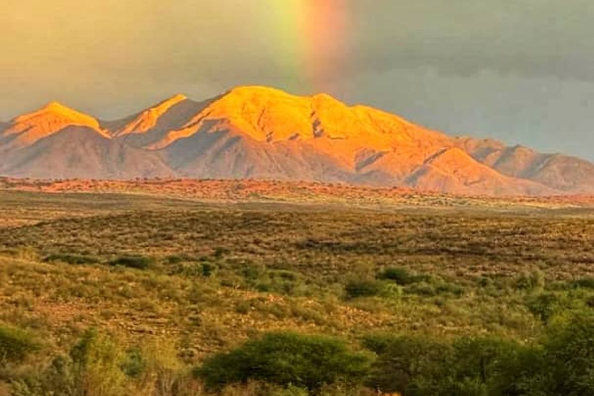 EXCEPTIONAL INVESTORS OPPORTUNITY GAME FARM FOR SALE IN THE SOUTH OF NAMIBIA - Photo 2