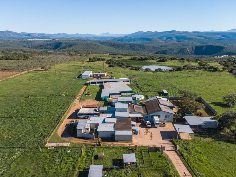 Open Realty Presents, Hillcrest Farm Abattoir – Uitenhage Area - Photo 2