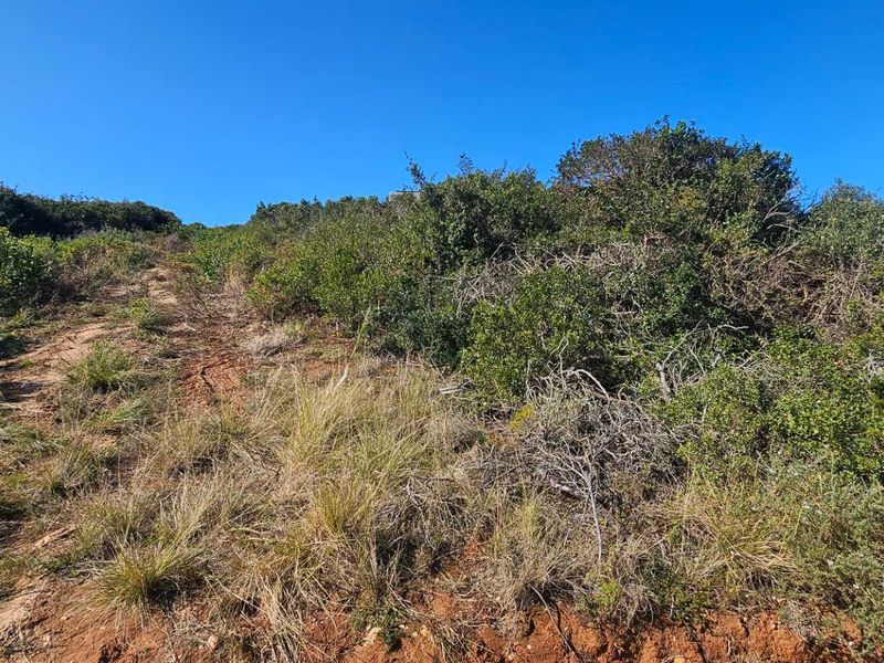 Plot & Plan options now selling in Hartland Lifestyle Estate - Photo 5