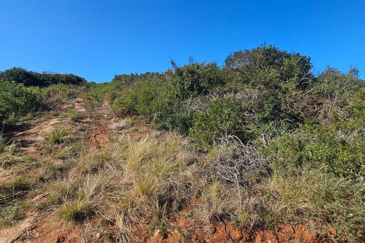 Plot & Plan options now selling in Hartland Lifestyle Estate - Photo 5