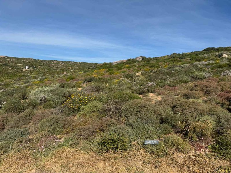 Elevated Coastal Stand for Sale – St Helena Views Phase 2 - Photo 4