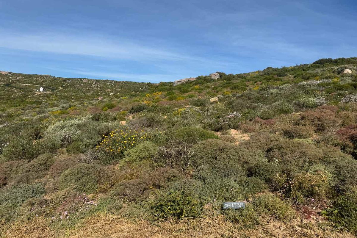 Elevated Coastal Stand for Sale – St Helena Views Phase 2 - Photo 4