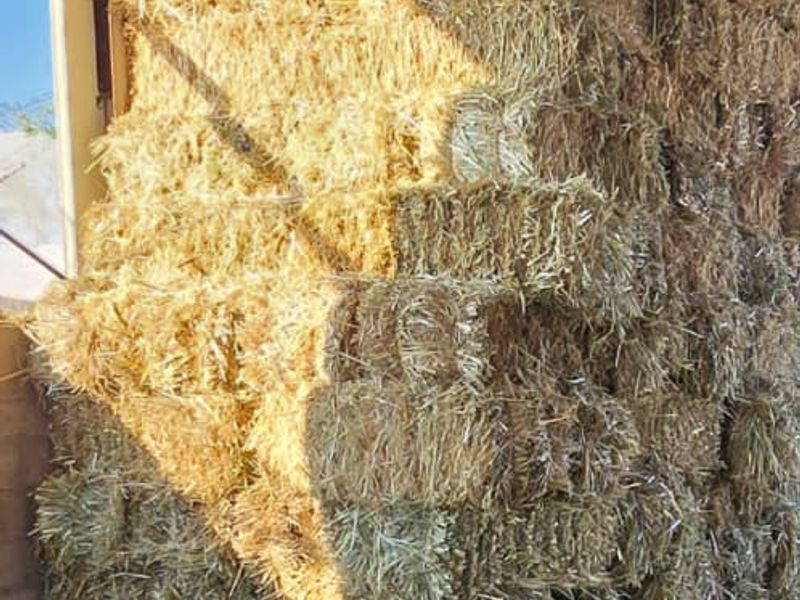 61 Hectares of Irrigated Farming Potential! - Photo 9