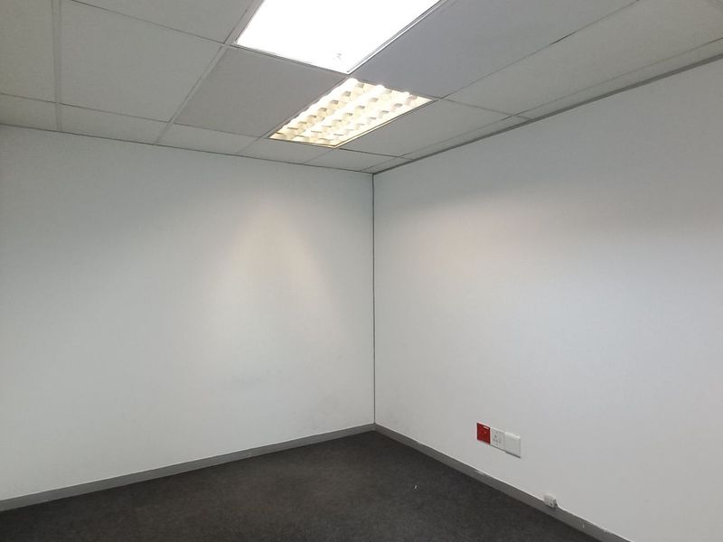 A clean, empty office space featuring a suspended ceiling with recessed lighting, neutral walls, and dark carpeting, suitable for a professional workspace.