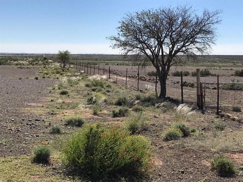 FARM FOR SALE IN KARAS REGION - Photo 5