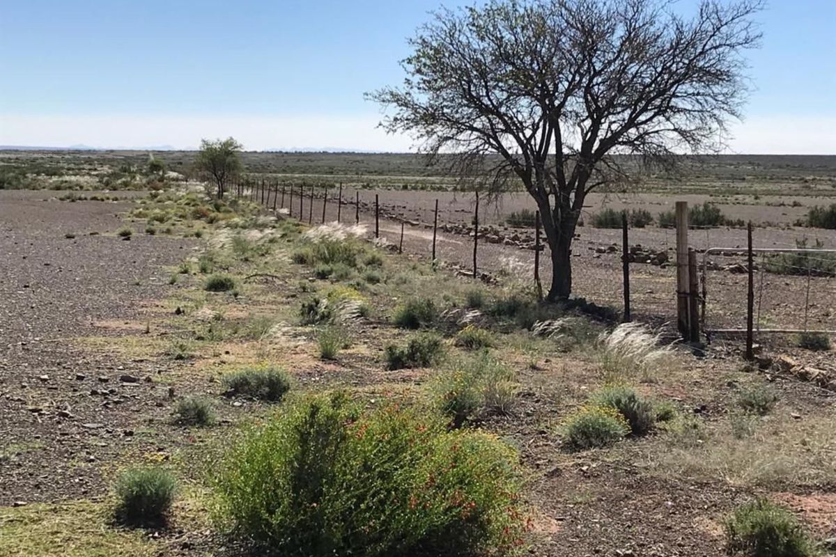 FARM FOR SALE IN KARAS REGION - Photo 5