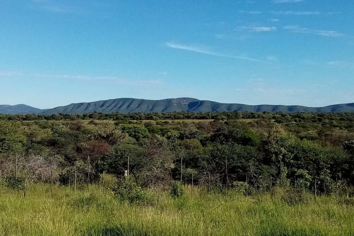 19 AGRICULTURAL SMALLHOLDINGS FOR SALE IN OTAVI, NAMIBIA - Photo 3