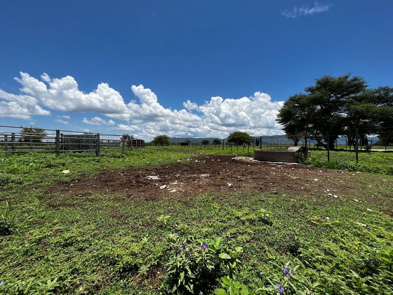 260 hectare agricultural plot, ideal for Centre pivot, feedlot or crop production - Photo 3