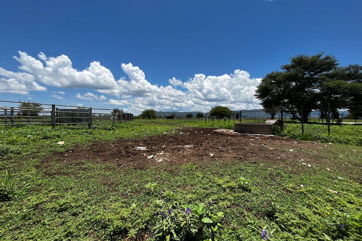 260 hectare agricultural plot, ideal for Centre pivot, feedlot or crop production - Photo 3