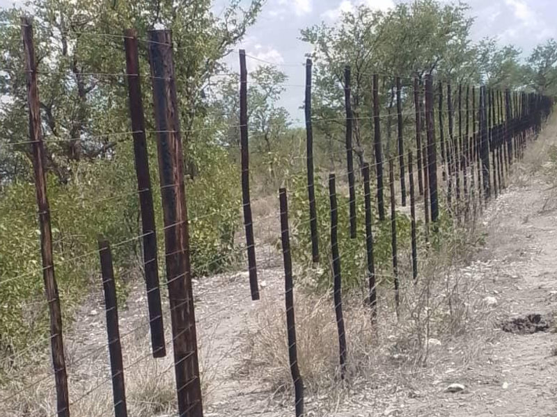 Farm for sale in Oshikoto Region - East of Etosha - Photo 2