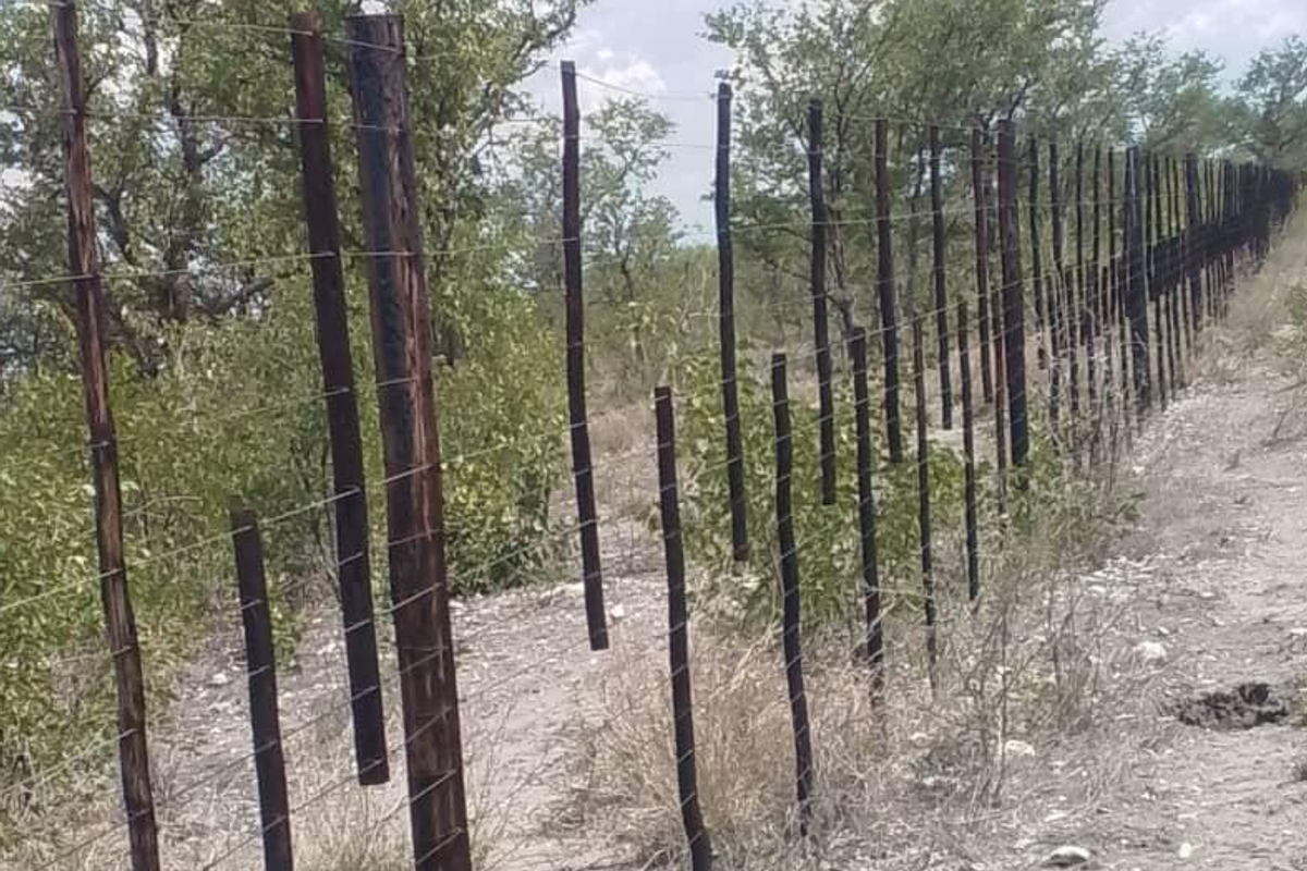 Farm for sale in Oshikoto Region - East of Etosha - Photo 2