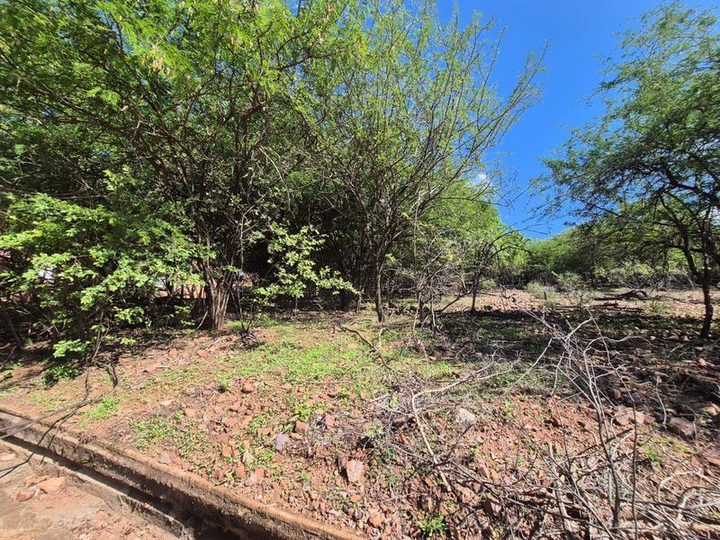 "Own a Slice of Paradise Next to Leeupoort's Greenbelt!" - Photo 6