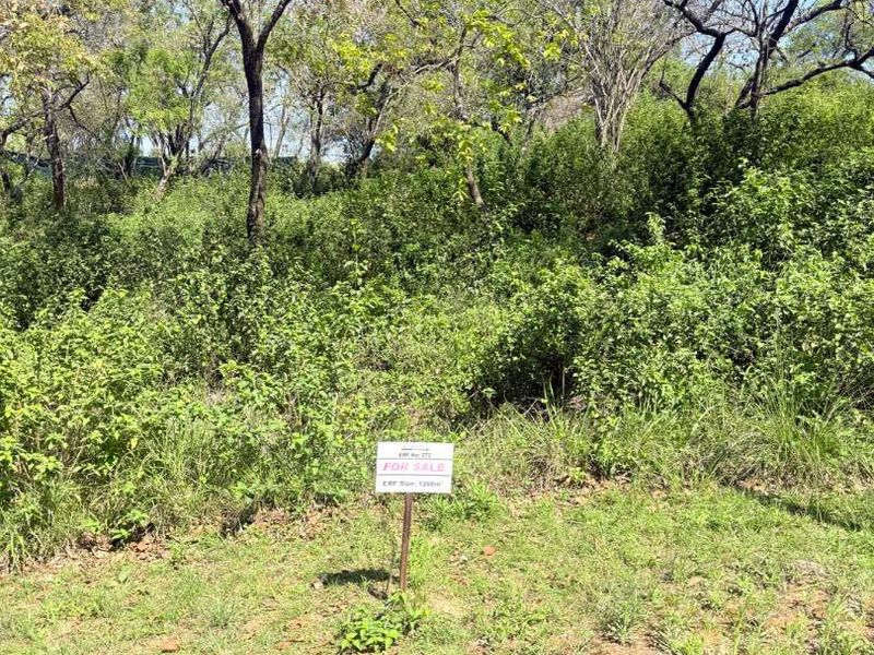 A vacant residential plot featuring natural vegetation and trees, accessible from a paved street verge.