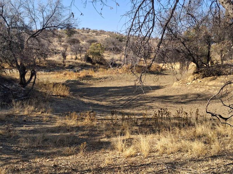 A natural landscape view of a dry riverbed area on the small holding, featuring indigenous trees and arid terrain.