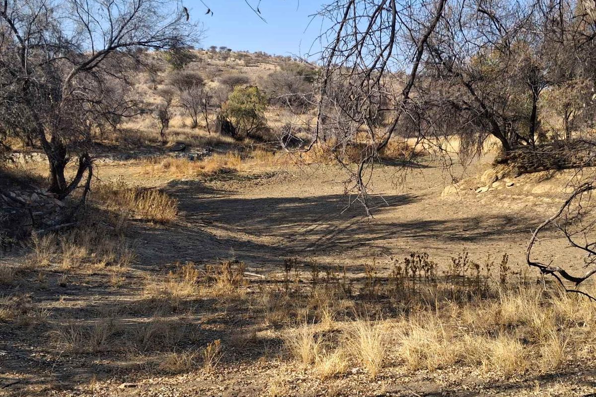 A natural landscape view of a dry riverbed area on the small holding, featuring indigenous trees and arid terrain.