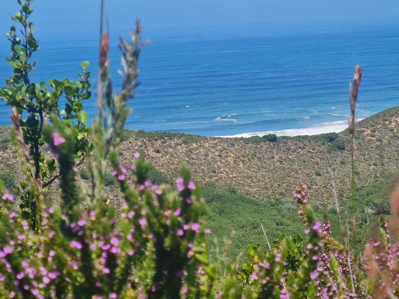 Natures dream - Photo 4