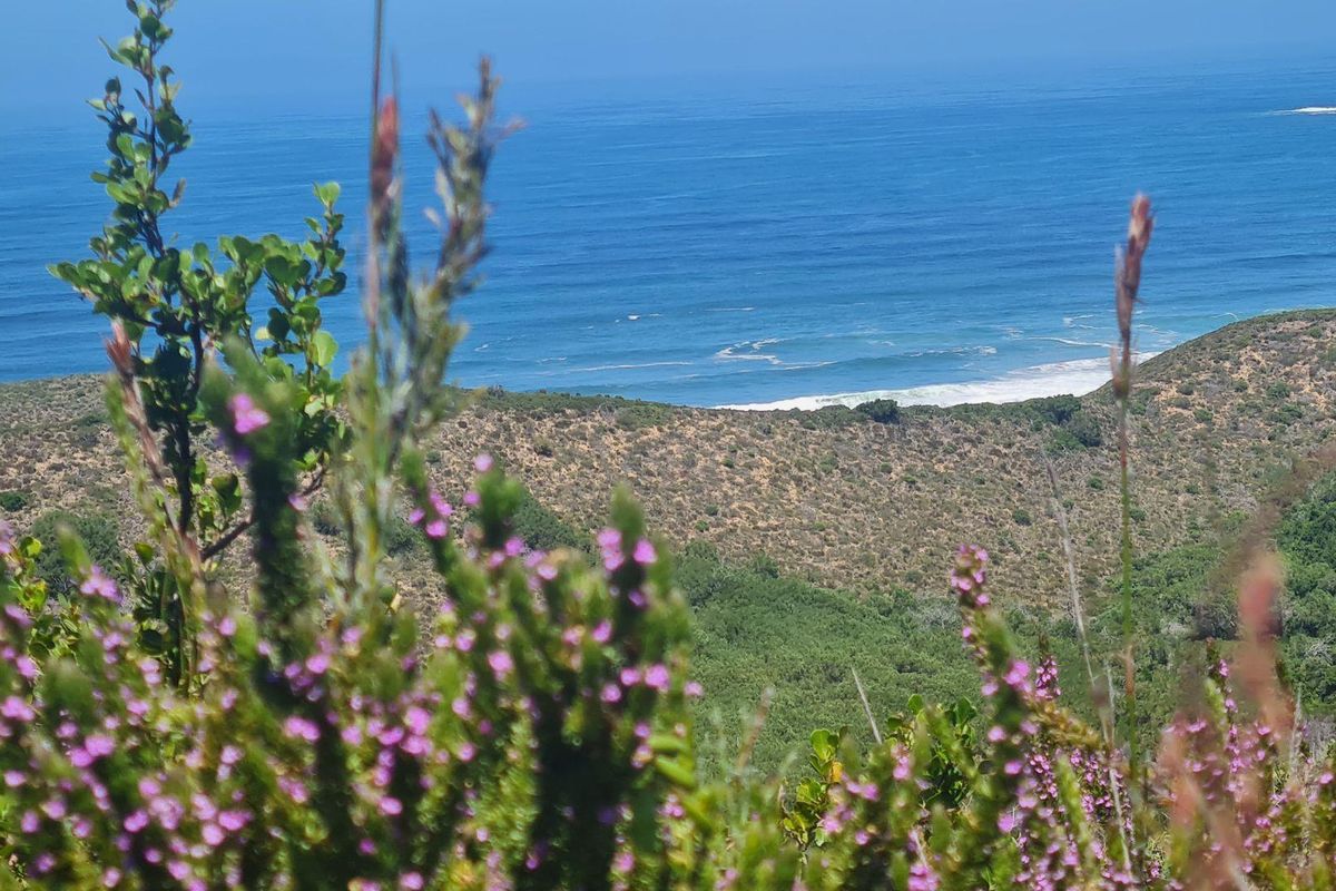 Natures dream - Photo 4