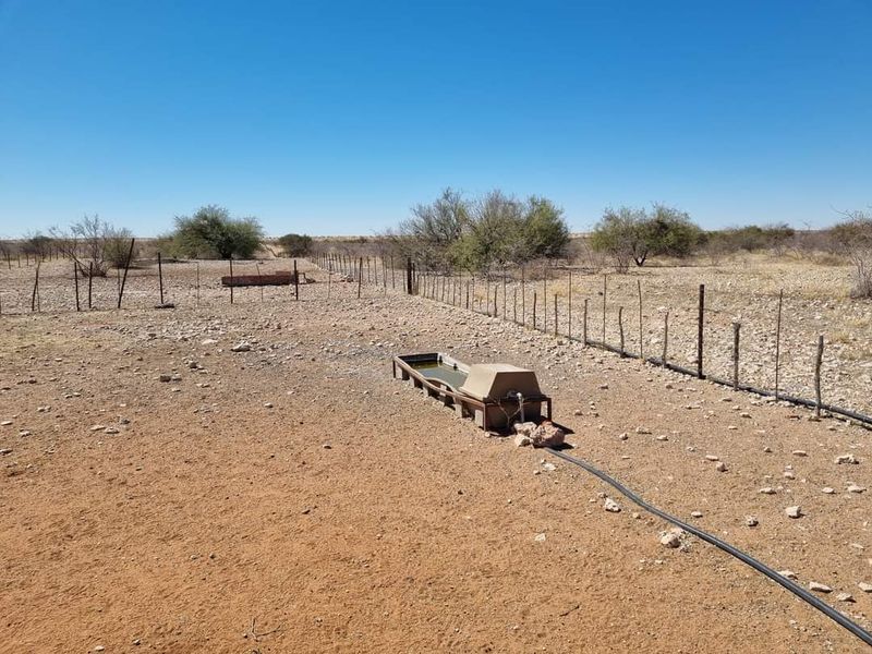 GORGEOUS CATTLE / SHEEP / GAME FARM FOR SALE IN STAMPRIET - Photo 8