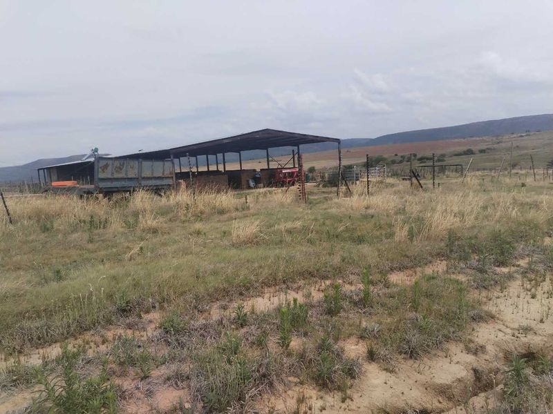 Secluded farm - Photo 8