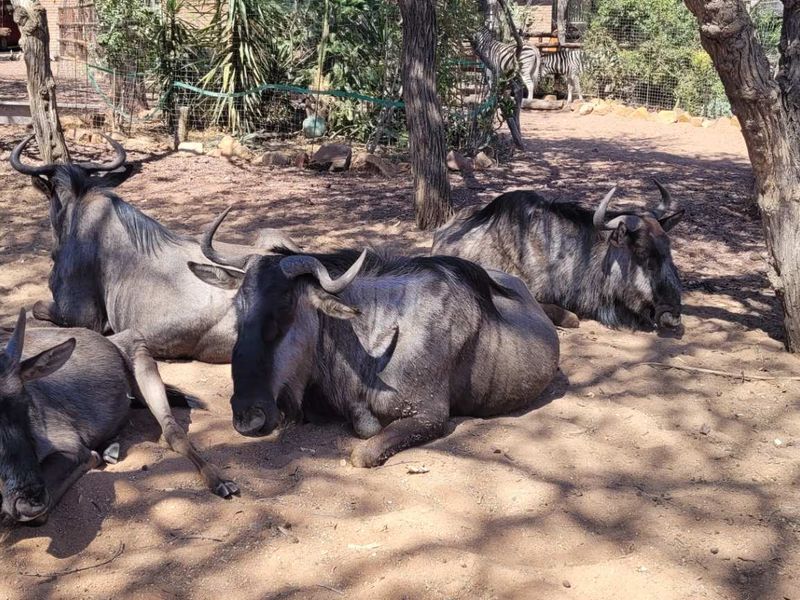 400m2 Stand Level Stand - Photo 8