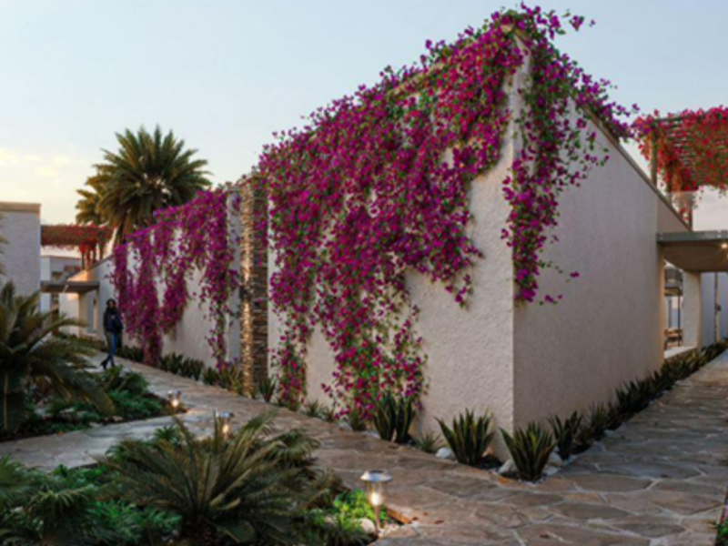 Beautiful Units For Sale - Swakopmund - Photo 3