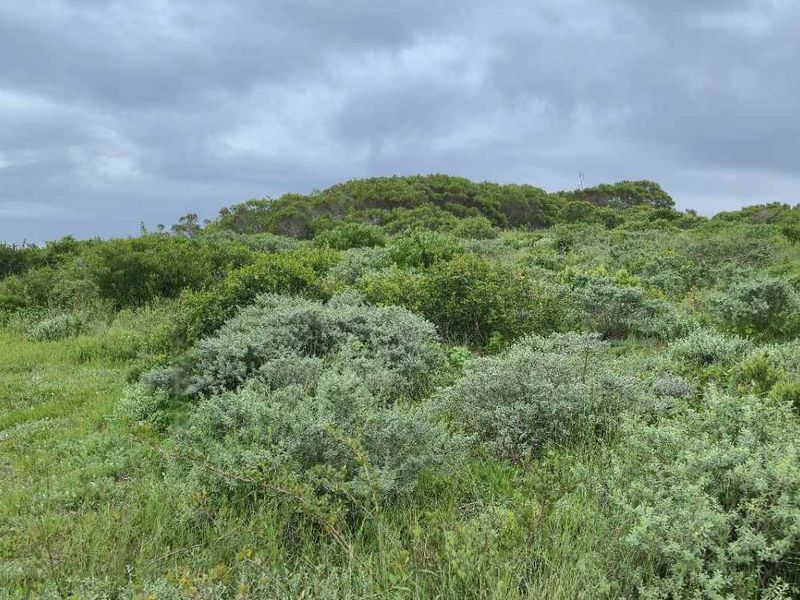 Mountain-View Stand in Popular Groenberg – Exceptional Coastal Investment - Photo 4