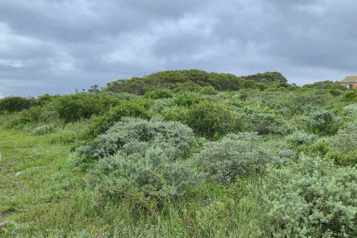 Mountain-View Stand in Popular Groenberg – Exceptional Coastal Investment - Photo 4