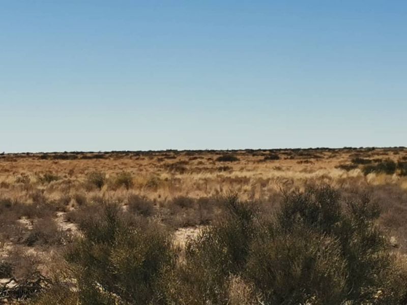 BEAUTIFUL FARM FOR SALE   -  AROAB / KEETMANSHOOP DISTRICT - Photo 2