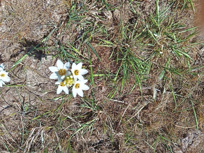 Great Property -Going for a Song - Photo 6