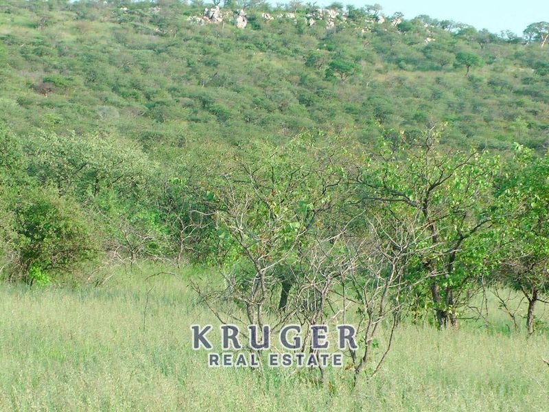 Start your farming life with ease - Photo 2