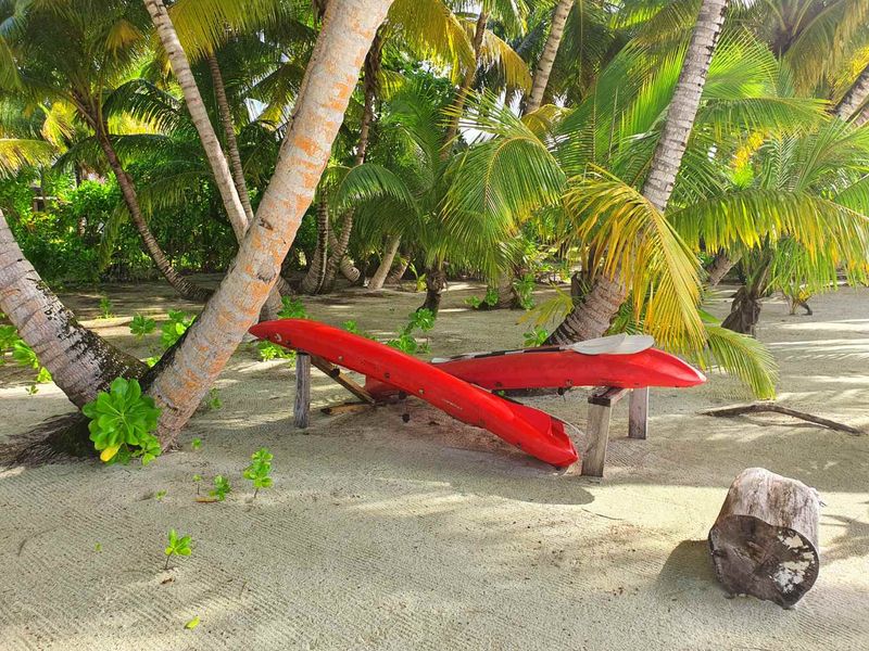 EXCEPTIONAL PRIVATE BEACH VILLA ON THE IDYLLIC DESROCHES ISLAND - Photo 6