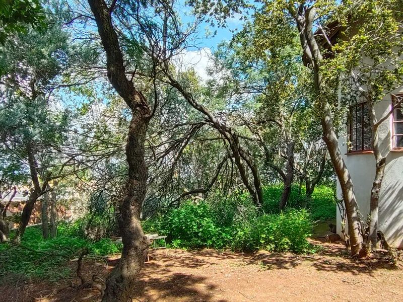 Bassonia Gem: Endless Potential on 4720sqm Stand!!! - Photo 8