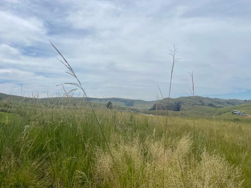 Stand in the exclusive Highland Gate Estate - Photo 6