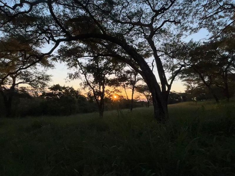 Rare 51ha Farm Jewel: A Versatile Opportunity with Prime Main Road Frontage - Photo 2