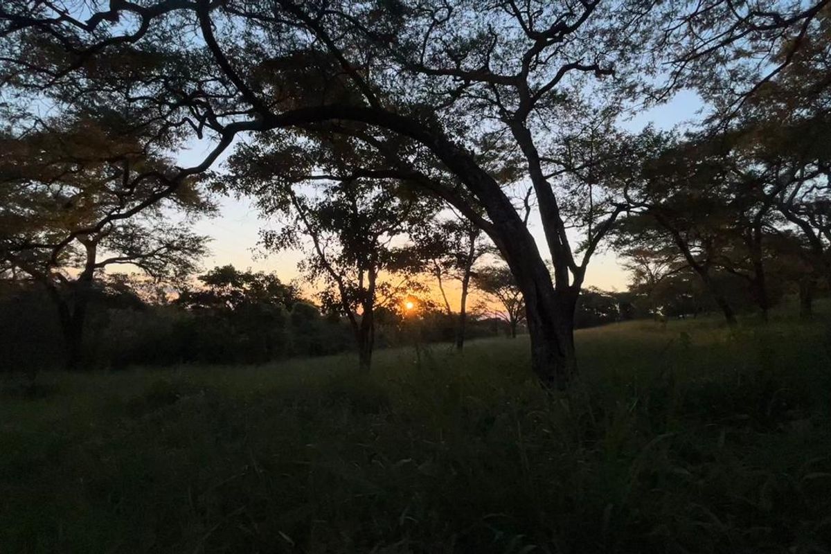 Rare 51ha Farm Jewel: A Versatile Opportunity with Prime Main Road Frontage - Photo 2