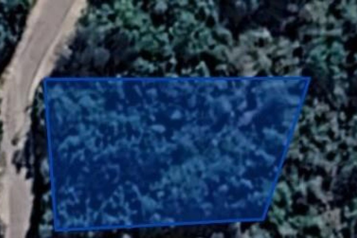 An aerial view of a vacant residential plot of land, heavily wooded and bordered by a road.