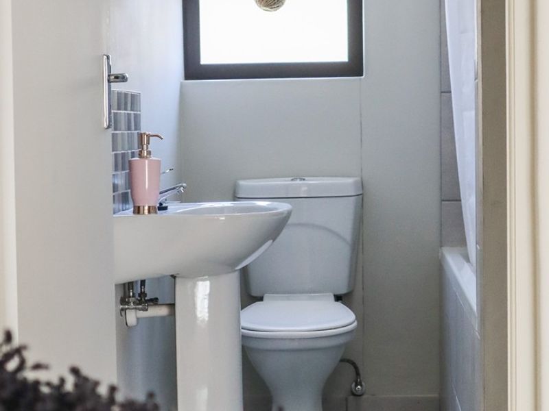 A functional bathroom featuring a pedestal basin, toilet, and a bathtub with a shower setup, illuminated by a window.