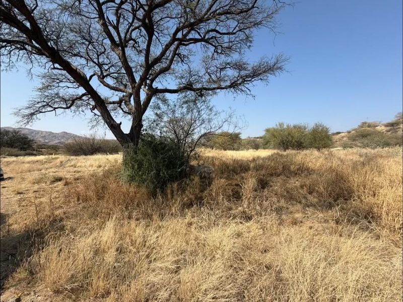 A view of the vacant commercial land featuring natural vegetation and mature trees under a clear sky.