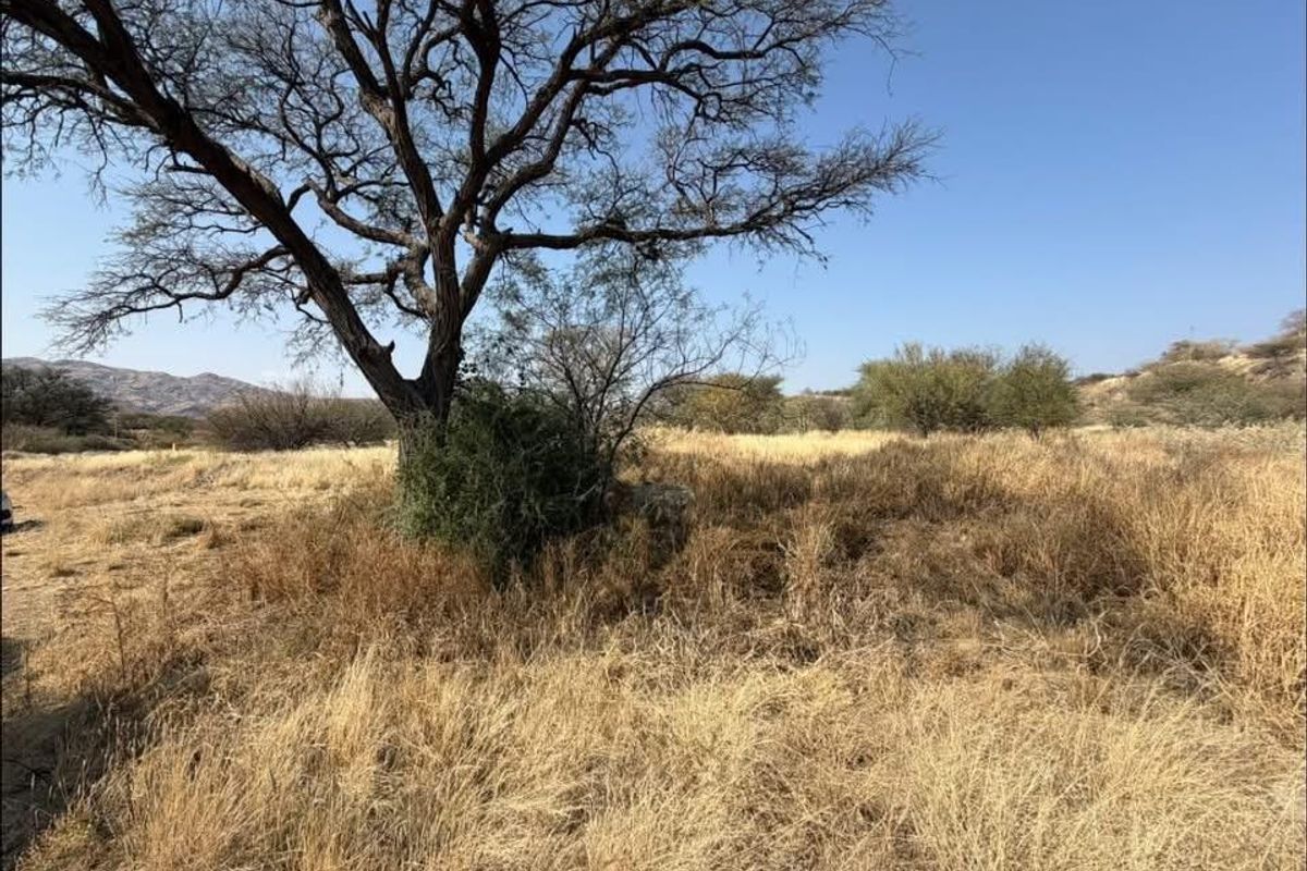 A view of the vacant commercial land featuring natural vegetation and mature trees under a clear sky.
