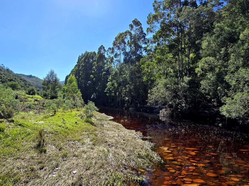 Spectacular Ruiterbos Farm with River Frontage & Panoramic Views - Photo 2