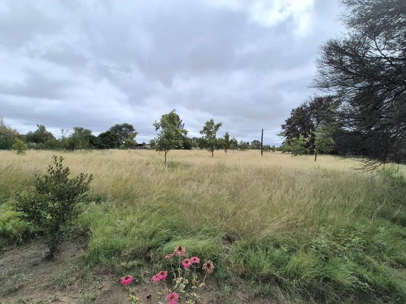 Riverside Smallholding with Pecan Orchard, Pool and Solar - Photo 2