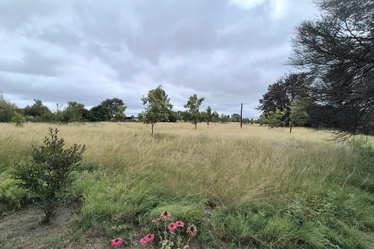 Riverside Smallholding with Pecan Orchard, Pool and Solar - Photo 2