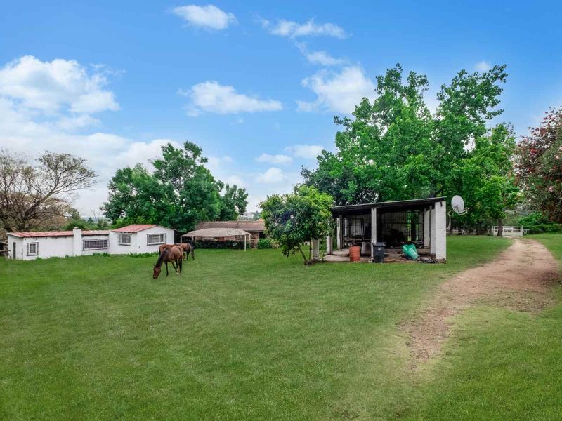 Spacious rear garden area featuring a lawn, mature trees, a dirt driveway, and a covered outdoor structure on a farm property.