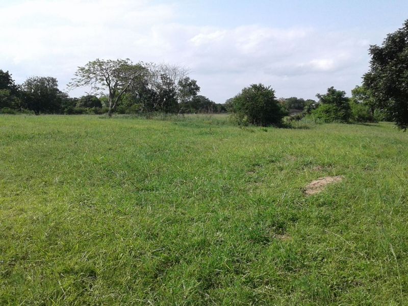 Vacant Land in MTUBATUBA - Photo 3