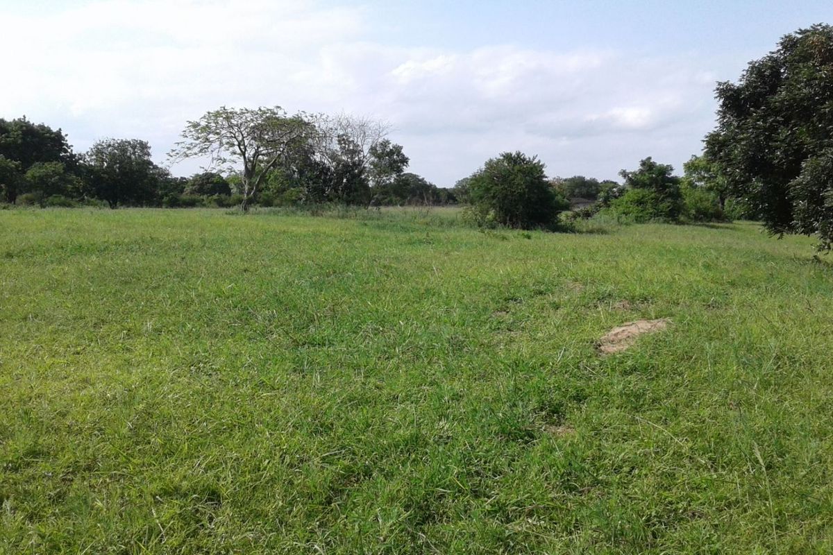 Vacant Land in MTUBATUBA - Photo 3